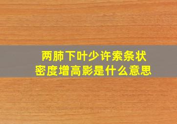 两肺下叶少许索条状密度增高影是什么意思