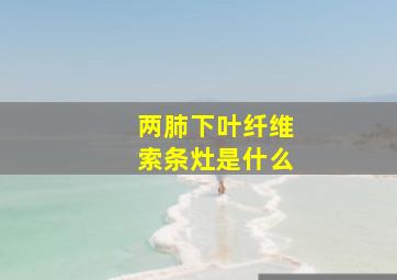 两肺下叶纤维索条灶是什么