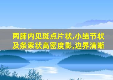 两肺内见斑点片状,小结节状及条索状高密度影,边界清晰