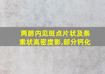 两肺内见斑点片状及条索状高密度影,部分钙化