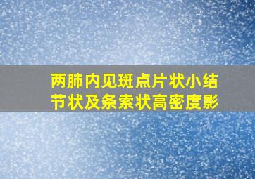 两肺内见斑点片状小结节状及条索状高密度影