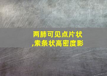 两肺可见点片状,索条状高密度影