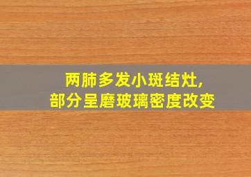 两肺多发小斑结灶,部分呈磨玻璃密度改变