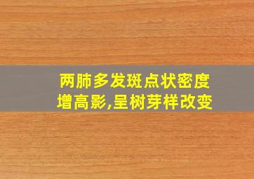 两肺多发斑点状密度增高影,呈树芽样改变