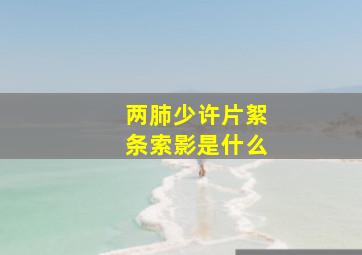 两肺少许片絮条索影是什么