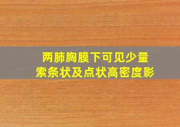 两肺胸膜下可见少量索条状及点状高密度影