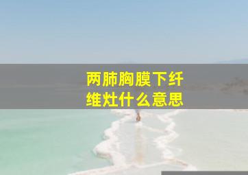 两肺胸膜下纤维灶什么意思