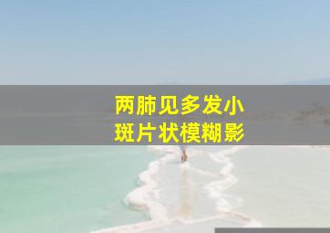 两肺见多发小斑片状模糊影