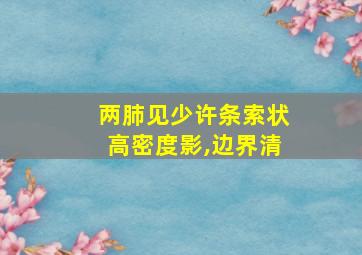 两肺见少许条索状高密度影,边界清