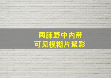 两肺野中内带可见模糊片絮影