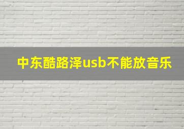 中东酷路泽usb不能放音乐