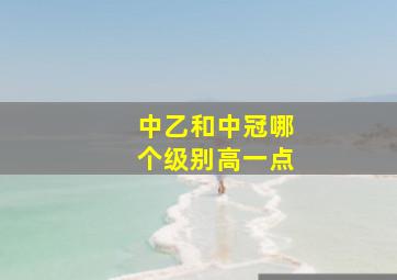 中乙和中冠哪个级别高一点