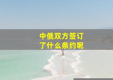 中俄双方签订了什么条约呢