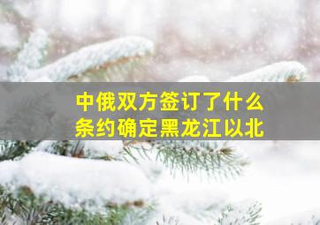 中俄双方签订了什么条约确定黑龙江以北