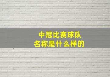 中冠比赛球队名称是什么样的