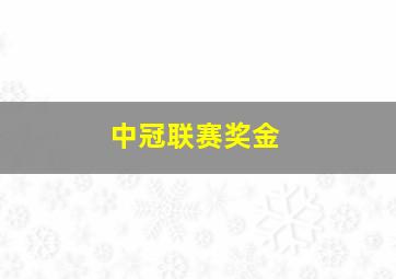 中冠联赛奖金