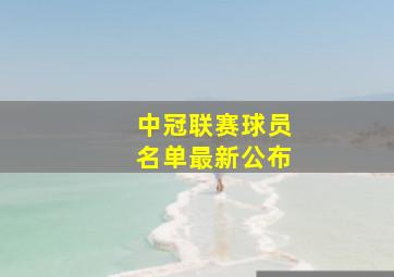 中冠联赛球员名单最新公布