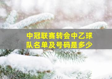 中冠联赛转会中乙球队名单及号码是多少