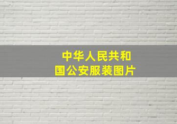 中华人民共和国公安服装图片