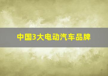 中国3大电动汽车品牌