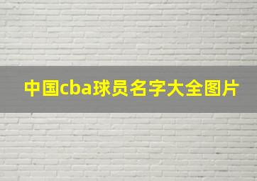 中国cba球员名字大全图片