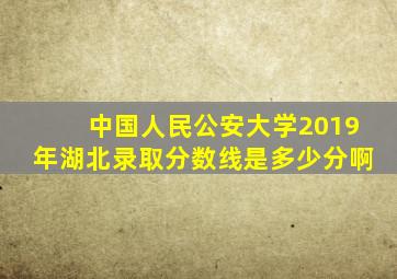 中国人民公安大学2019年湖北录取分数线是多少分啊