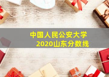 中国人民公安大学2020山东分数线