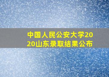 中国人民公安大学2020山东录取结果公布