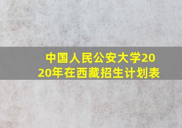 中国人民公安大学2020年在西藏招生计划表