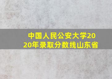 中国人民公安大学2020年录取分数线山东省