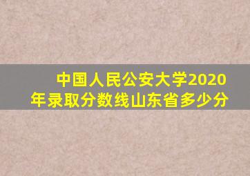 中国人民公安大学2020年录取分数线山东省多少分