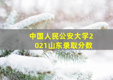 中国人民公安大学2021山东录取分数