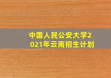 中国人民公安大学2021年云南招生计划