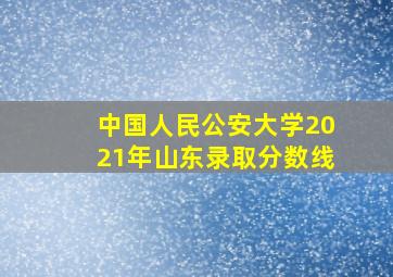 中国人民公安大学2021年山东录取分数线