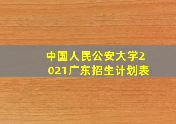 中国人民公安大学2021广东招生计划表