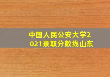 中国人民公安大学2021录取分数线山东