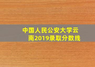 中国人民公安大学云南2019录取分数线