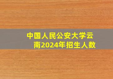 中国人民公安大学云南2024年招生人数