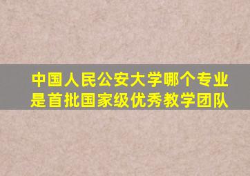 中国人民公安大学哪个专业是首批国家级优秀教学团队