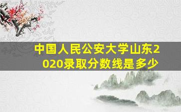 中国人民公安大学山东2020录取分数线是多少