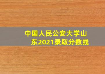 中国人民公安大学山东2021录取分数线