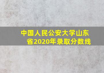 中国人民公安大学山东省2020年录取分数线