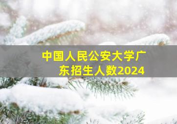 中国人民公安大学广东招生人数2024