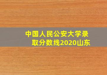 中国人民公安大学录取分数线2020山东