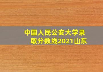 中国人民公安大学录取分数线2021山东