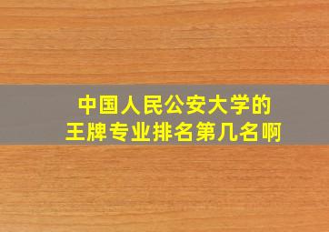 中国人民公安大学的王牌专业排名第几名啊