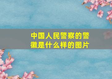 中国人民警察的警徽是什么样的图片