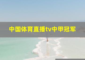 中国体育直播tv中甲冠军