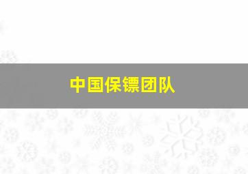 中国保镖团队