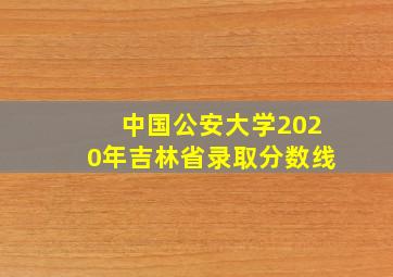 中国公安大学2020年吉林省录取分数线